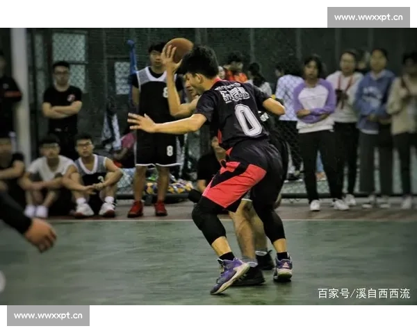 篮球直播在线观看全面指南畅享高清赛事不容错过